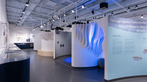 XYZ-Technologies_Musee-de-la-Gaspesie_Overview-of-the-museum-with-artifact-display-cases-ceiling-mounted-projectors-and-lighting-design