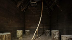 XYZ-Technologies_Terfa_wood-cabin-interior-with-a-small-tree-in-the-center