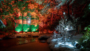 XYZ-Technologies_MJAL_luminous-nighttime-experience_pond-and-glass-artwork-with-fish-illuminated-in-winter