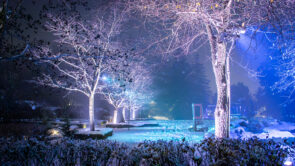 XYZ-Technologies_MJAL_luminous-nighttime-experience_white-and-blue-illuminations-on-trees-and-lasers-on-snow