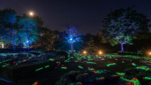 XYZ Technologies MJAL summer luminous nighttime experience blue illuminations on trees and lasers