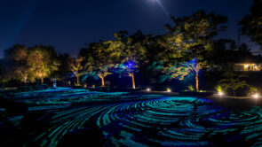 XYZ Technologies MJAL summer luminous nighttime experience natural illuminations on trees and blue lasers on grass
