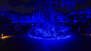 XYZ-Technologies_Cirque-du-Soleil_LUDO_Outside_illuminated_parcour